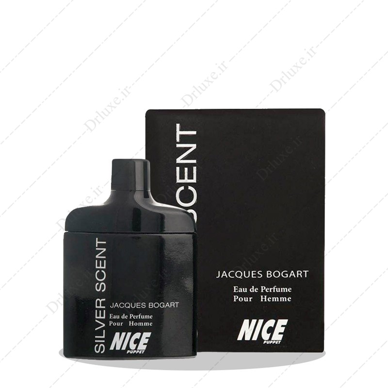 مشخصات، قیمت و خرید ادکلن ادوپرفیوم مردانه Silver Scent نایس 85 میلی لیتر - دکتر لوکس
