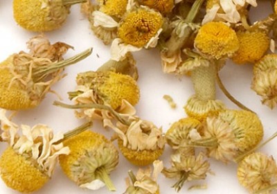 رهایی از بی‌خوابی با دمنوش بابونه