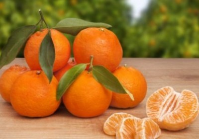 تنگی نفس دارید؟پس نارنگی بخورید