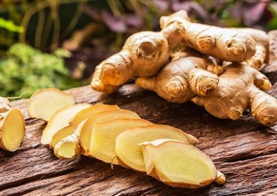آشنایی با گیاه زنجبیل + تاریخچه آن