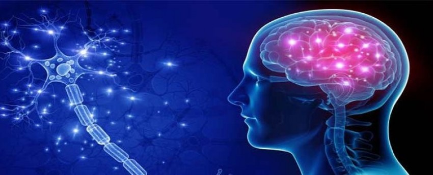توانبخشی بیماران سالمند مبتلا به ام اس