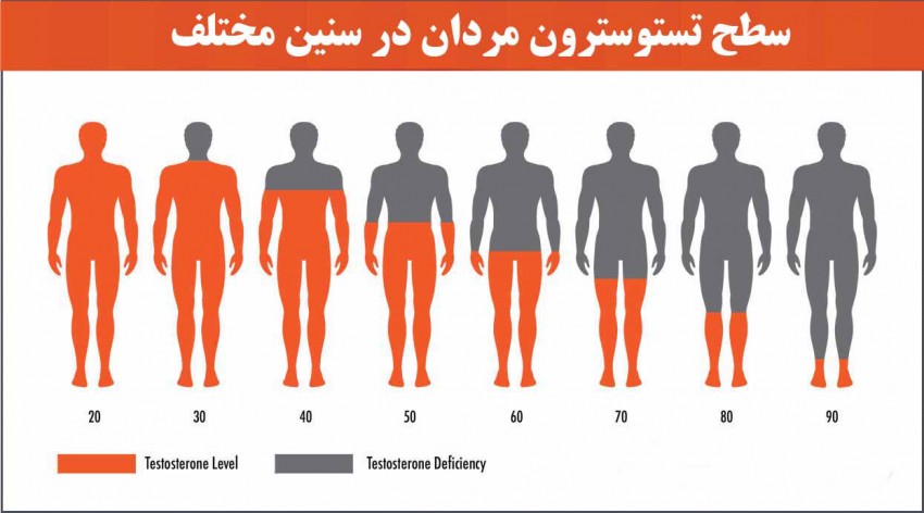 11 روش افزایش تستوسترون به طور طبیعی