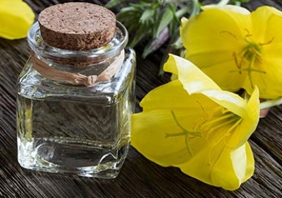 فواید باورنکردنی روغن گل مغربی