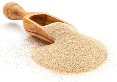 مخمر آبجو چیست؟