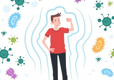 فواید مصرف کپسول پاورفیت برای سیستم ایمنی بدن